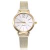 Moda pulseira de malha relógio transfronteiriço popular relógio feminino atacado fábrica simples feminino coreano relógio de quartzo estilo pequeno high-end