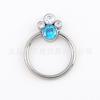 Aleación de Titanio G23 F136 Garra de Gato Aobao Circonita Aro para Nariz Septum Nasal Perforación Joyería para Piercing de Oreja