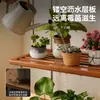 Estante para flores de acero inoxidable, estante de almacenamiento multifuncional de pie para uso doméstico, estante de drenaje multicapa para exhibir macetas en el balcón