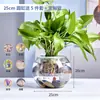Aquário Pequeno, Tanque Transparente de Vidro Espessado para Tartaruga de Escritório, Tanque Mini Pequeno Redondo para Peixinhos Dourados de Mesa em Casa na Sala de Estar