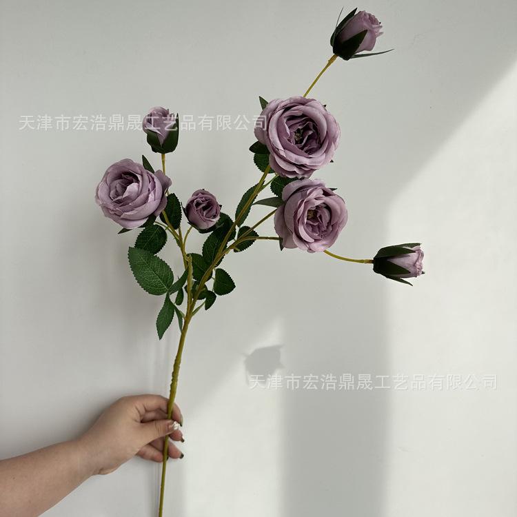 微信图片_202303091822233_副本