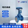 Válvula de Compuerta Hugong de Shanghai con Vástago Ascendente y Sello Blando Z41X-16Q Válvula de Compuerta de Hierro Dúctil con Brida y Sello Elástico en el Asiento