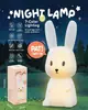 Luz nocturna superventas transfronteriza, lámpara de mesita de noche para dormitorio, lámpara táctil de silicona con luz, temporizador, regalo de cumpleaños para niños al por mayor