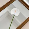 Planta Artificial Antúrio Impressa em 3D Decoração Moderna para Paisagismo de Pátio Vegetação Modelo Novo Tendência Transfronteiriço