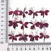 Hierba de Nogal Flor de Mariposa Flor de Cerezo Flor Seca Espécimen en Relieve Marco de Fotos DIY Uñas Calcomanía Facial Sello de Pintura de Fuego Material