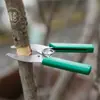 Tijeras Corta Anillos Cuchillo Corta Anillos Tijera Corta Anillos de Uva Cuchillo Corta Anillos de Rama Cuchillo Corta Anillos de Árbol Frutal Tijeras de Jardinería