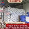 Medicina Tradicional China Secador Niuli Guangxi Niuli Jinzhong Raíz Limpieza Rebanada Quemado Equipo de Secado Granular