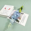 Medio para Flocado Simulado Tamaño Mediano Flor de Loto Salón de Bodas Decoración Floral Suave Arreglo Floral Destacar Camino Floral Decorativo Flor de Exportación Flor
