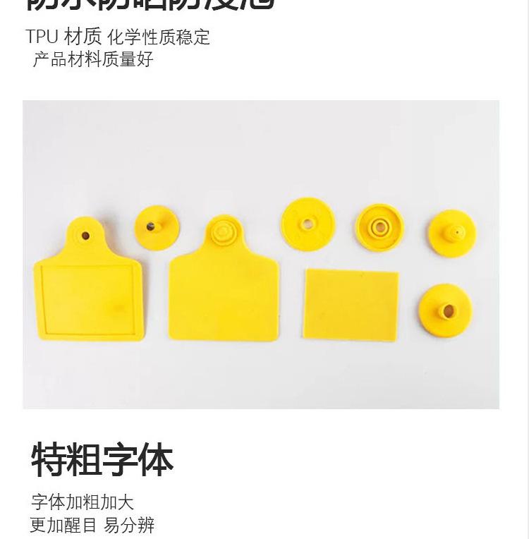 耳标_06.jpg