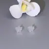 Acessórios DIY para Piercing de Orelha Tampão de Ouvido Macio de Borracha Plug de Orelha Transparente de Silicone e Resina Plug Traseiro para Piercing de Orelha Plug de Orelha de Plástico Pacote de Tampões de Ouvido