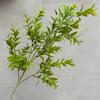 Guanyinlian de siete cabezas Pasto Pico de Bambú Flores de Simulación para Boda Plantación Verde Hoja de Color a Mano Taro Sagitaria Murraya Material de Flor Mori