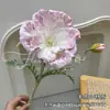 Flor de Amapola Eva Simulada Arreglo Floral Estilo Pintura al Óleo Alice Individual Muebles de Exhibición para Bodas Amapola Iris Flor Artificial
