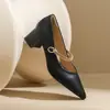 Sapatos de Salto Alto Retrô Francês para Mulheres, Novo Modelo 2026, Bico Fino, Salto Grosso, Tira Única, Sapatos Mary Jane Baixos