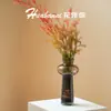 Vaso com Sensação de Luxo Leve e de Alta Qualidade, Estilo Vintage Nórdico, para Arranjos de Flores Frescas, Hidroponia, Design de Vidro Transparente, Decoração de Sala de Estar de Nicho