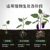 Fertilizante de Liberação Lenta Barra Nutritiva para Preguiçosos Planta em Vaso Universal Flor Planta Verde Nitrogênio Fósforo Potássio Orgânico Flor Fertilizante Especial