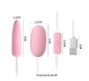 Laile Vibrando AV Stick Gladiador Rosa Menina Pequena Shell Mua Ovo Controle Remoto Sem Fio Jumping Egg Brinquedo Sexual Feminino