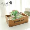 004 Cabeza de Flor de Planta Suculenta Verde Afelpada Suministros Creativos para Bricolaje Accesorios para Colgar en la Pared Decoración de Flores para el Hogar Planta Verde Shangyi