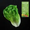 Hojas de Lechuga de Simulación Verdura Falsa Modelo de Frutas y Verduras Decoración Accesorios Adornos de Lechuga Hojas Grandes de Frutas y Verduras