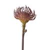 Flores Artificiais, Flores Agulha Cauda de Fênix Tropical Sul-Africana para Almofada, Ornamentos de Decoração para Mesa de Sala de Jantar, Adereços para Fotografia, Flores Artificiais, Arte Floral Artificial