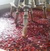 Equipamento de máquina de fritar hot pot em grande escala totalmente automático de gás eletromagnético Preço fabricante de máquina de fritar com base de panela quente