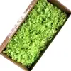 Hortênsia de madeira eterna flor mid-leaf Rosa eterna caixa de presente de vidro tampa flor Flor preservação decoração de casamento cocar de noiva