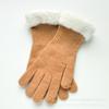 Coreia do Sul novos punhos de pelúcia de malha luvas de cinco dedos das mulheres outono e inverno costura quente lã de cordeiro tela sensível ao toque loop lã