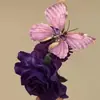 Super ambiente de hada pasador de flor mariposa morada pinza de plátano pasador clip para flequillo femenino 2025 nuevo clip accesorios para el cabello