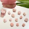 Internet Celebrant Novos acessórios para unhas de rosa rosa Mixed Pure Wish Acessórios para unhas DIY Acessórios para unhas de orelha