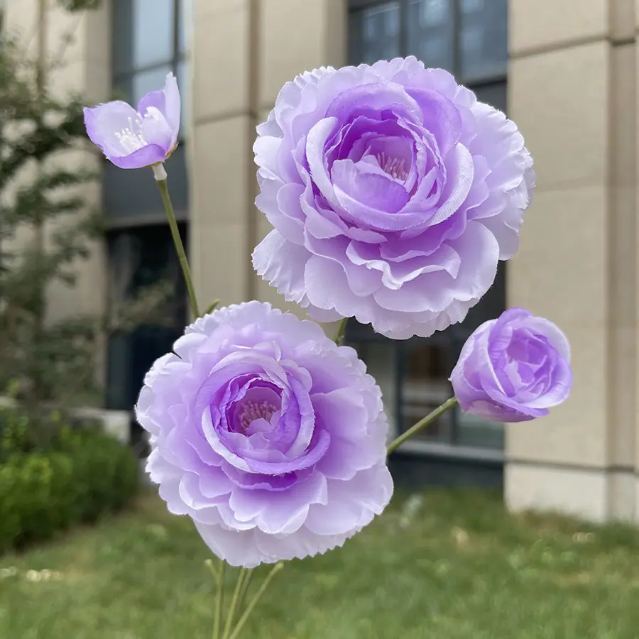 4头小茶花-xwmwpx-浅紫.JPG
