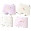 Ropa Interior Infantil, Algodón Puro, Clase A, Ropa Interior para Niñas, Boxer para Niñas Mediano y Grande, Calzones Clásicos para Niñas Medianos y Grandes