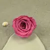 Flor Eterna Grau A 5- 6cm Rosa Que Não Murcha Flor para DIY Material de Flor Loja de Flores Buquê Flor Seca Material para Instagram