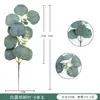 Decoración de Planta Simulada de Eucalipto con Esquejes de Fruta, Ramas Cortas, Hojas de Dinero, Hojas Prensadas, Decoración de Planta Simulada para DIY, Transfronterizo Amazon
