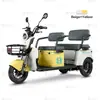 Triciclo Elétrico de Lazer C8 Certificado CE, Fábrica de Origem Transfronteiriça Aceita Personalização Completa de Pedido OEM/ODM