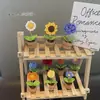 Flores Mini Maceta Tejidas a Mano DIY Paquete de Materiales de Crochet de Lana Adornos Terminados para Oficina Accesorios para el Interior del Coche