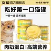 Snacks de Comida Húmeda Gato Wanfu, Comida Principal para Gatos Adultos y Gatitos, para Aumento de Peso, Salud Facial, Nutrición, Pelaje Hermoso y Brillante, Venta al Por Mayor, También se Puede Alimentar a Perros
