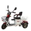 Patinete eléctrico doméstico para personas mayores, vehículo de carga tripulado eléctrico de tres ruedas, súper equilibrado y de baja velocidad.