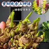 Bulbos de Nardo, Plántulas de Jazmín de Noche, Plantas Perennes de Aroma Fuerte, Flores Fáciles de Cultivar para Jardines Interiores y Exteriores en Todas las Estaciones