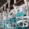 Producción de Arroz 20 Toneladas por Día Línea de Producción de Arroz Incluyendo Máquina Clasificadora por Color Máquina Pulidora con Niebla de Agua Cribas Clasificadoras Báscula de Empaque Cuantitativo