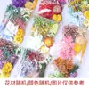 Flor Eterna Gypsophila Flor Seca Paquete de Materiales Mixtos Hecho a Mano DIY Marco de Fotos de Enseñanza Abanico Redondo Relleno Material de Flor Prensada