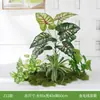 Simulação Plantas Verdes Paisagismo Plantas Artificiais Musgo Verde Musgo Verde Combinação de Micro Paisagem Decoração de Interior Janela Corredor Exibição Decoração