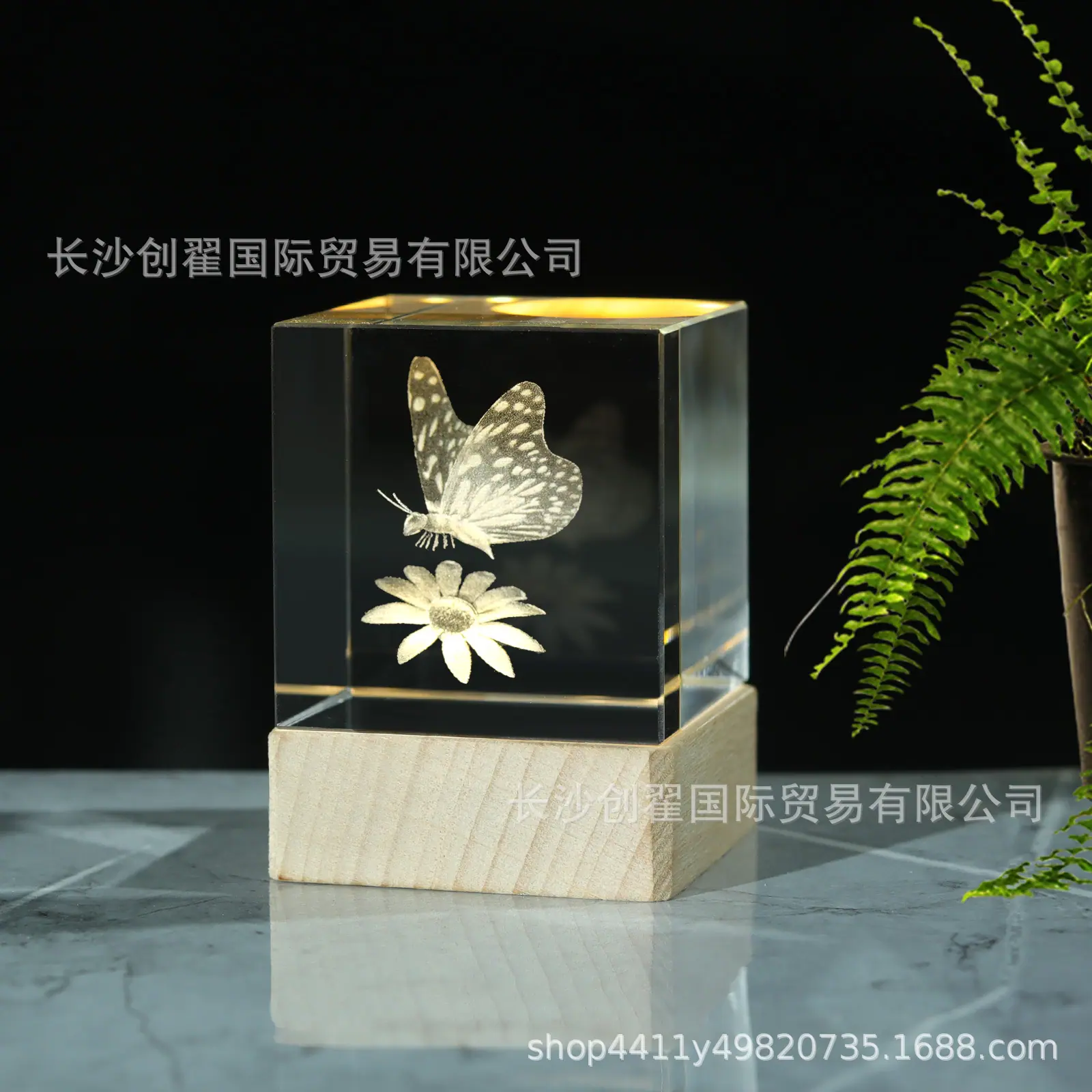 蝴蝶_08.jpg