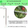 Sistema de Riego por Goteo para Plantas de Arándanos en Maceta con Dispositivo de Control de Flujo Constante