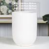 Jingdezhen Macetas de Cerámica Extra Grandes en Blanco y Negro Simples para Balcón Interior Piso Plantación Árbol del Dinero Planta Verde Plantas en Maceta