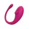 Huevo Vibrador para Mujer, Vibración Fuerte, Control Remoto Inalámbrico Dispositivo de Masturbación, Juguete Orgásmico para Adultos, Productos Femeninos para Uso en Exteriores