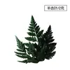 Flores secas canela limão pinha mix e match flores secas artesanais pequeno buquê fresco aromaterapia pacote de material DIY lembrança presente