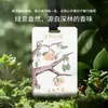 Pastilhas de Aroma Floresta Fresca para Carro, Pastilhas de Óleo Essencial de Aroma de Alta Qualidade para Quarto, Decorações Criativas e Modernas para Pendurar no Carro