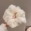 Goma para el pelo de encaje con perlas artificiales estilo coreano para mujer, nuevo modelo 2026, elástico versátil para el pelo, dulce accesorio para el cabello