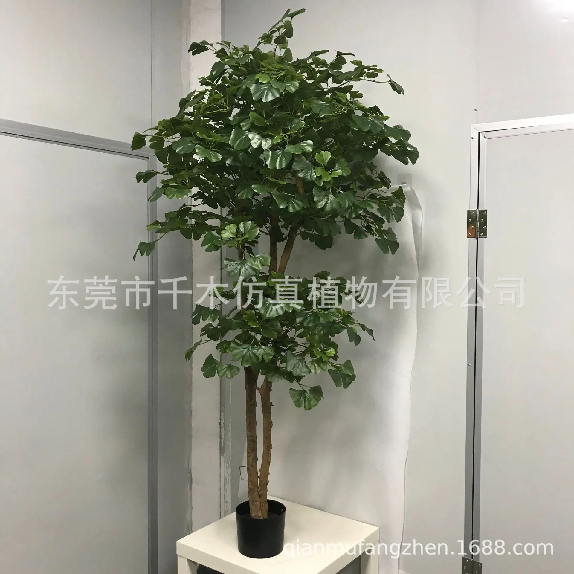 微信图片_202105280944527