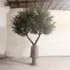 Árbol de Olivo Simulado para Interiores Hotel Mesa de Comedor Maceta Bonsái Decoración Árbol de Olivo Biónico Artificial Árbol Falso Paisajismo
