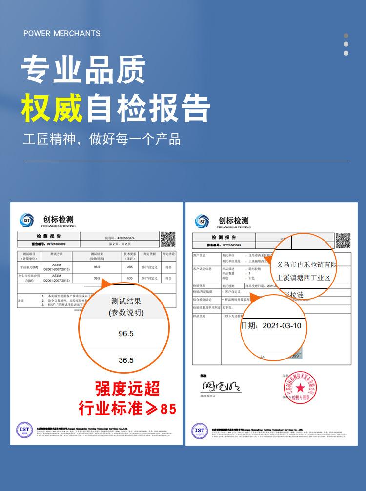 自检报告